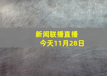 新闻联播直播 今天11月28日